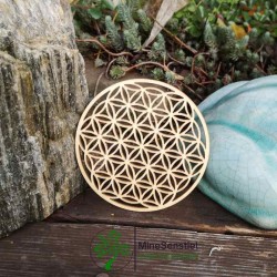 Fleur de Vie en Bois 10 cm