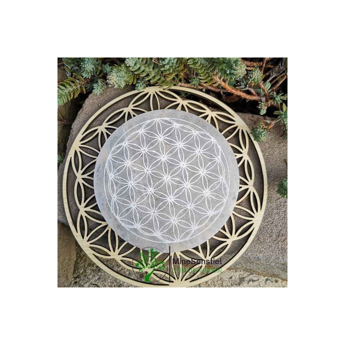 Fleur de vie gravée sur sélénite