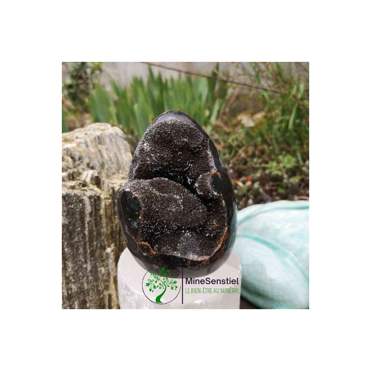 Forme septaria sauvage