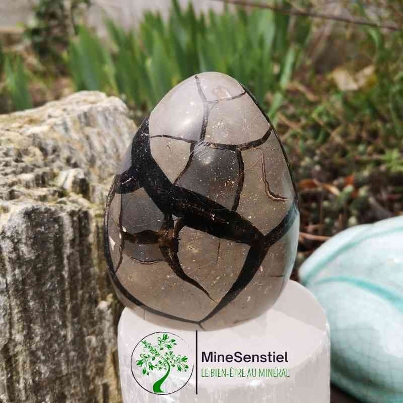 Forme septaria sauvage