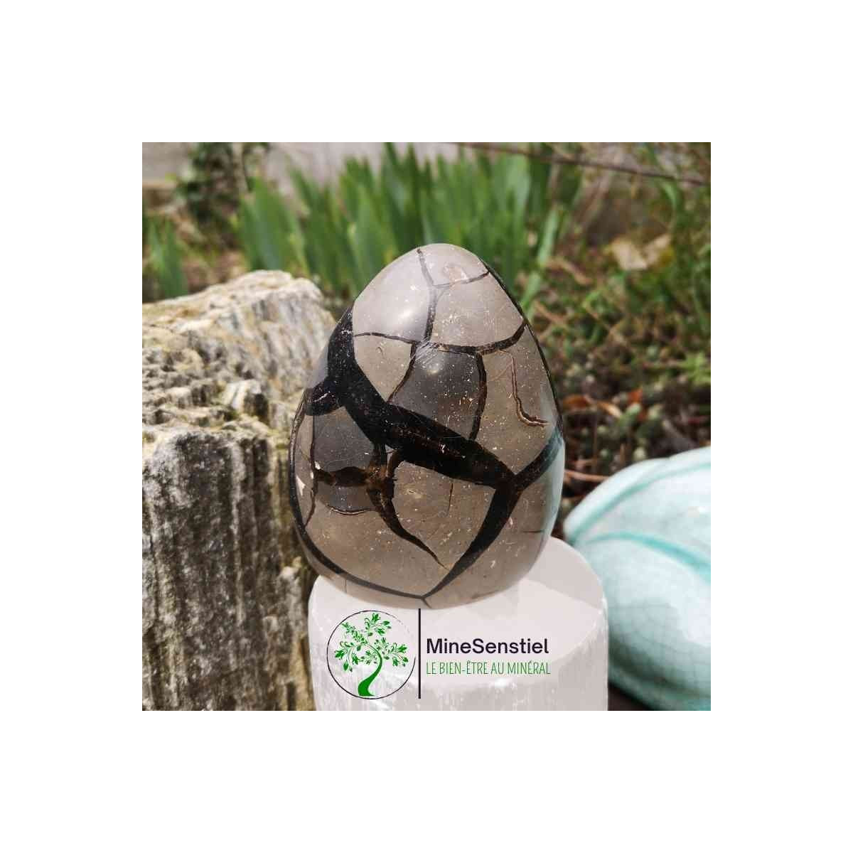 Forme septaria sauvage