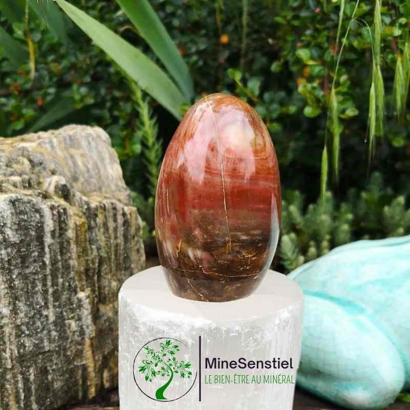 Bois fossile forme libre