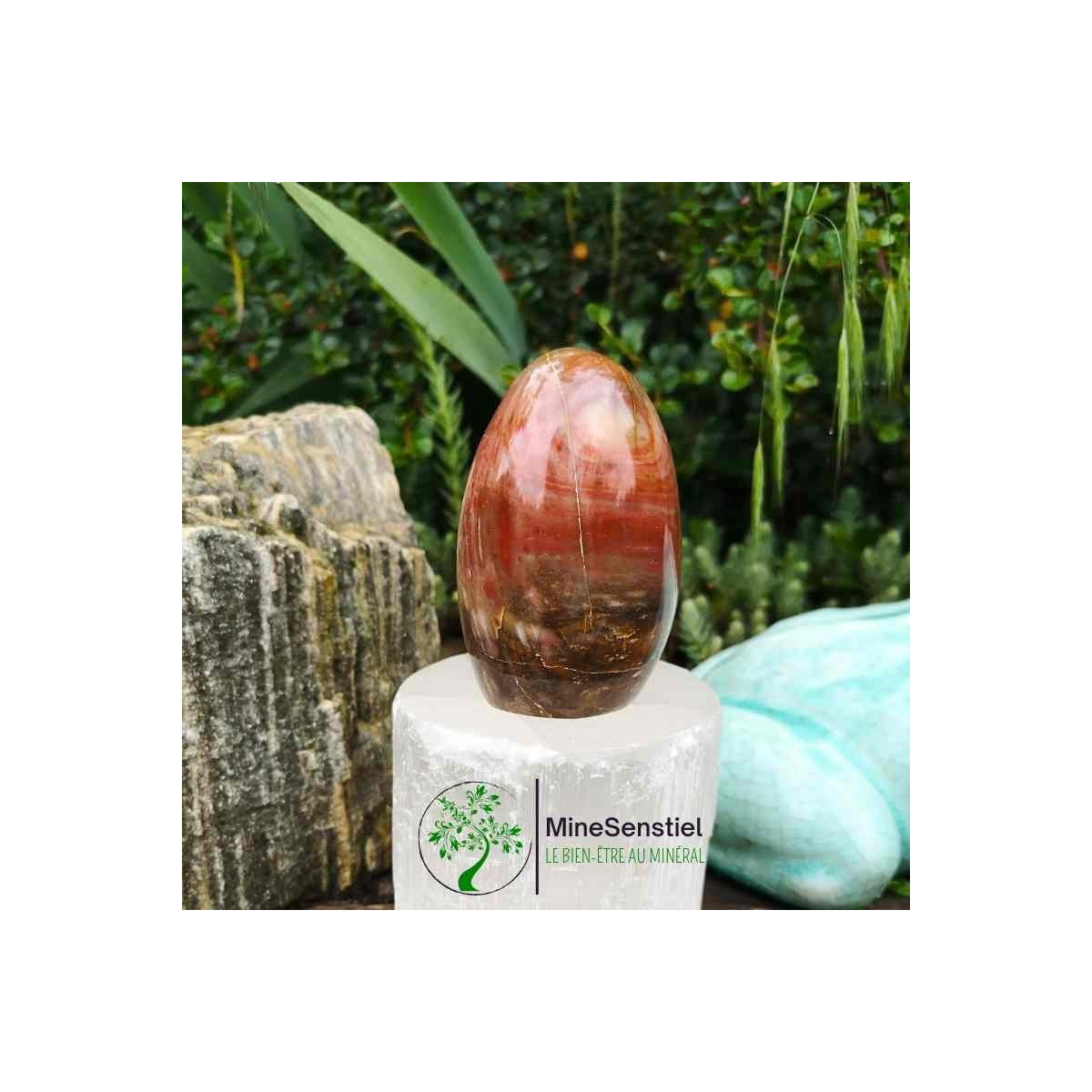 Bois fossile forme libre