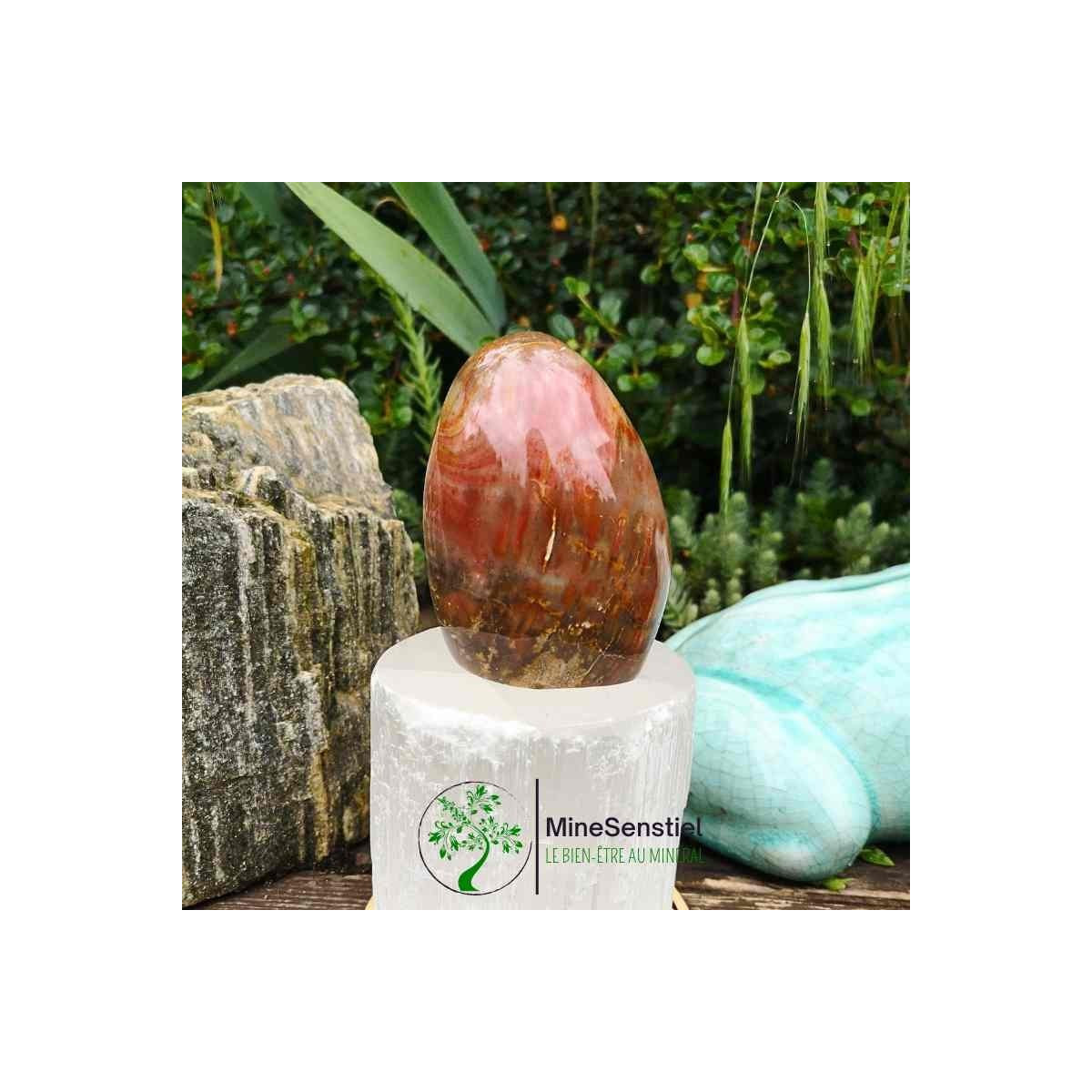 Bois fossile forme libre