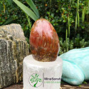 Bois fossile forme libre