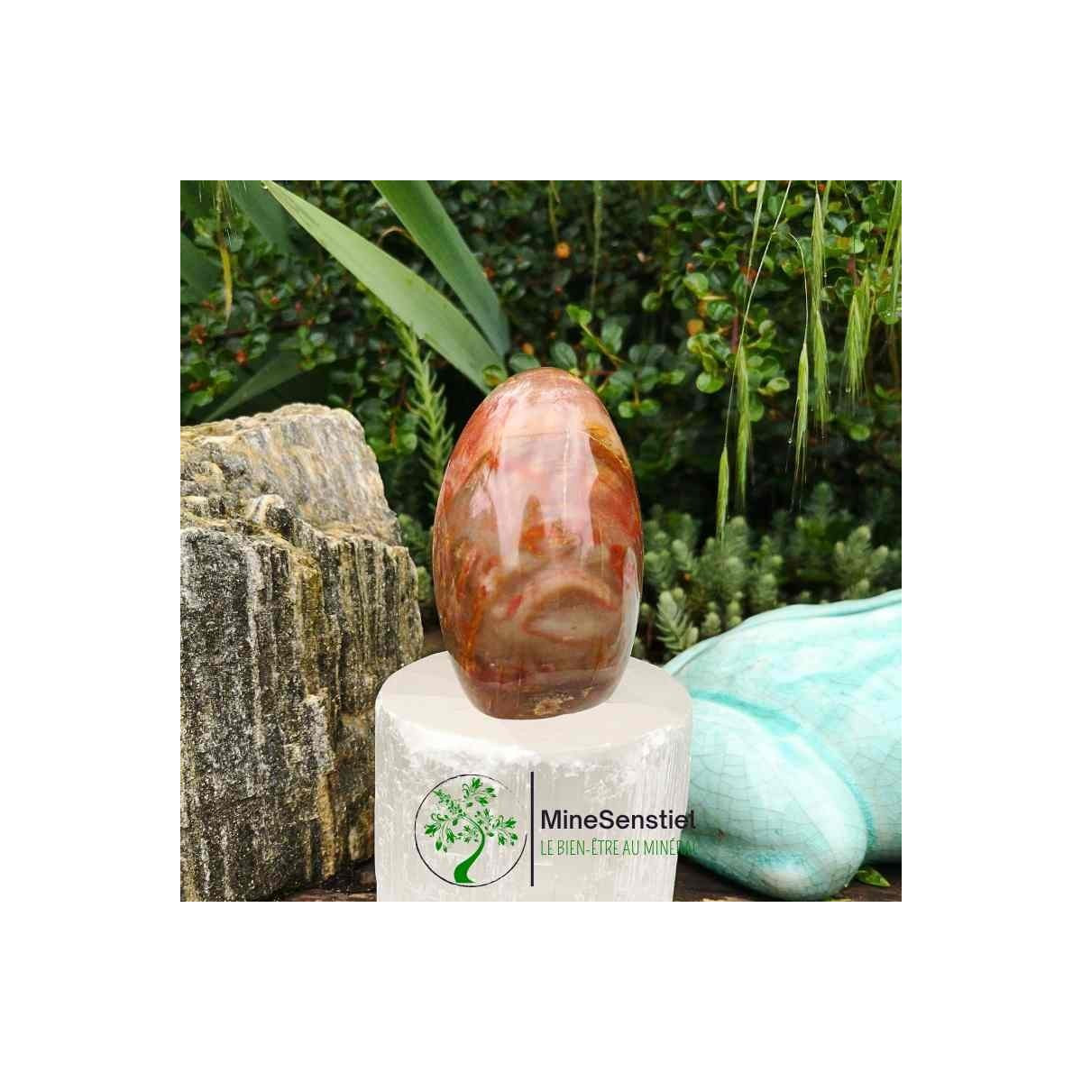 Bois fossile forme libre