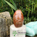 Bois fossile forme libre