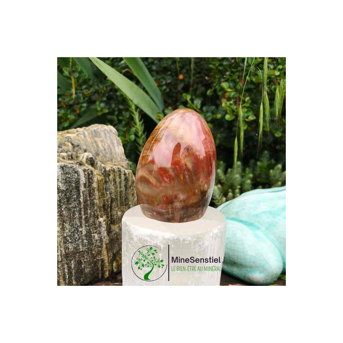Bois fossile forme libre