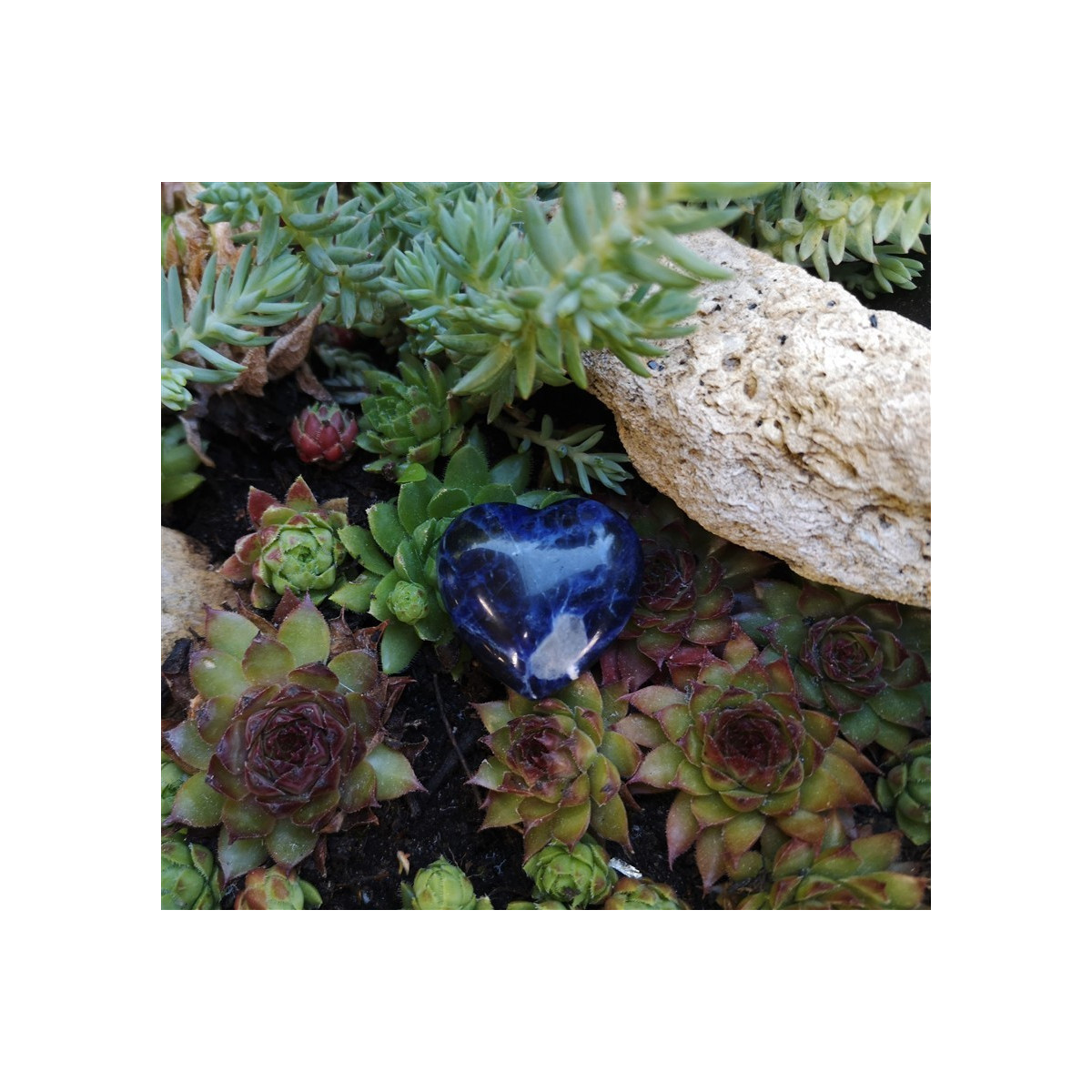 Coeur sodalite 1