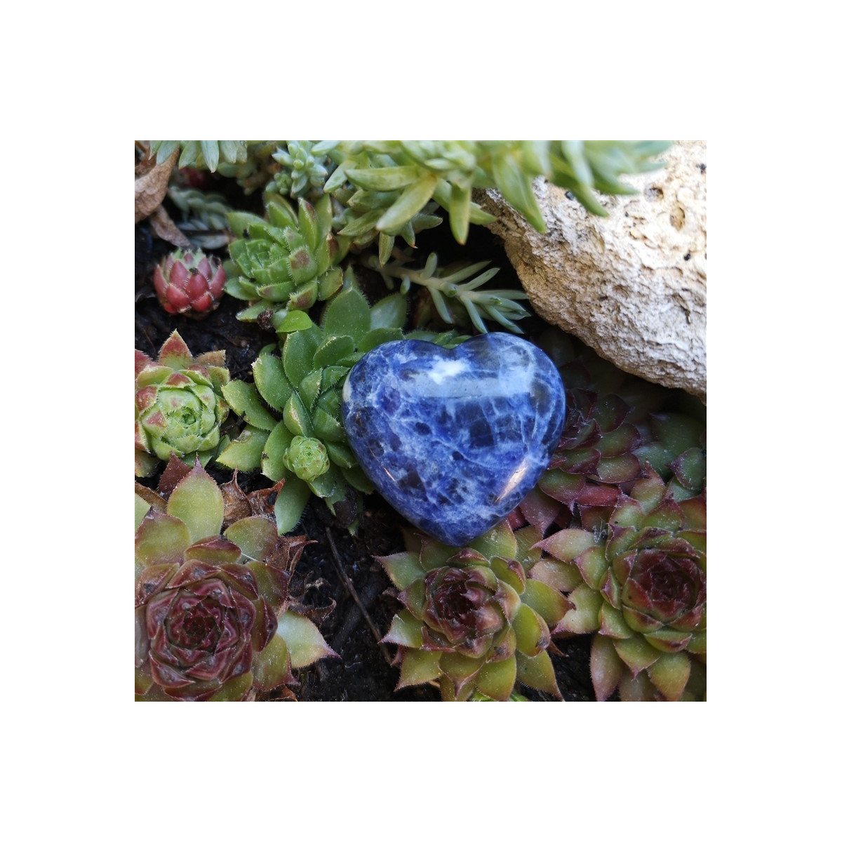 Coeur sodalite 2