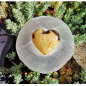 Coeur septaria 1