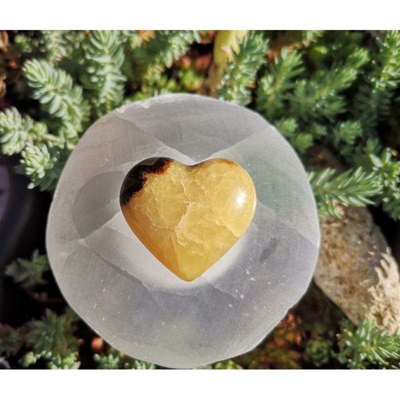 Coeur septaria 1