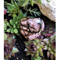 Coeur rhodonite 3