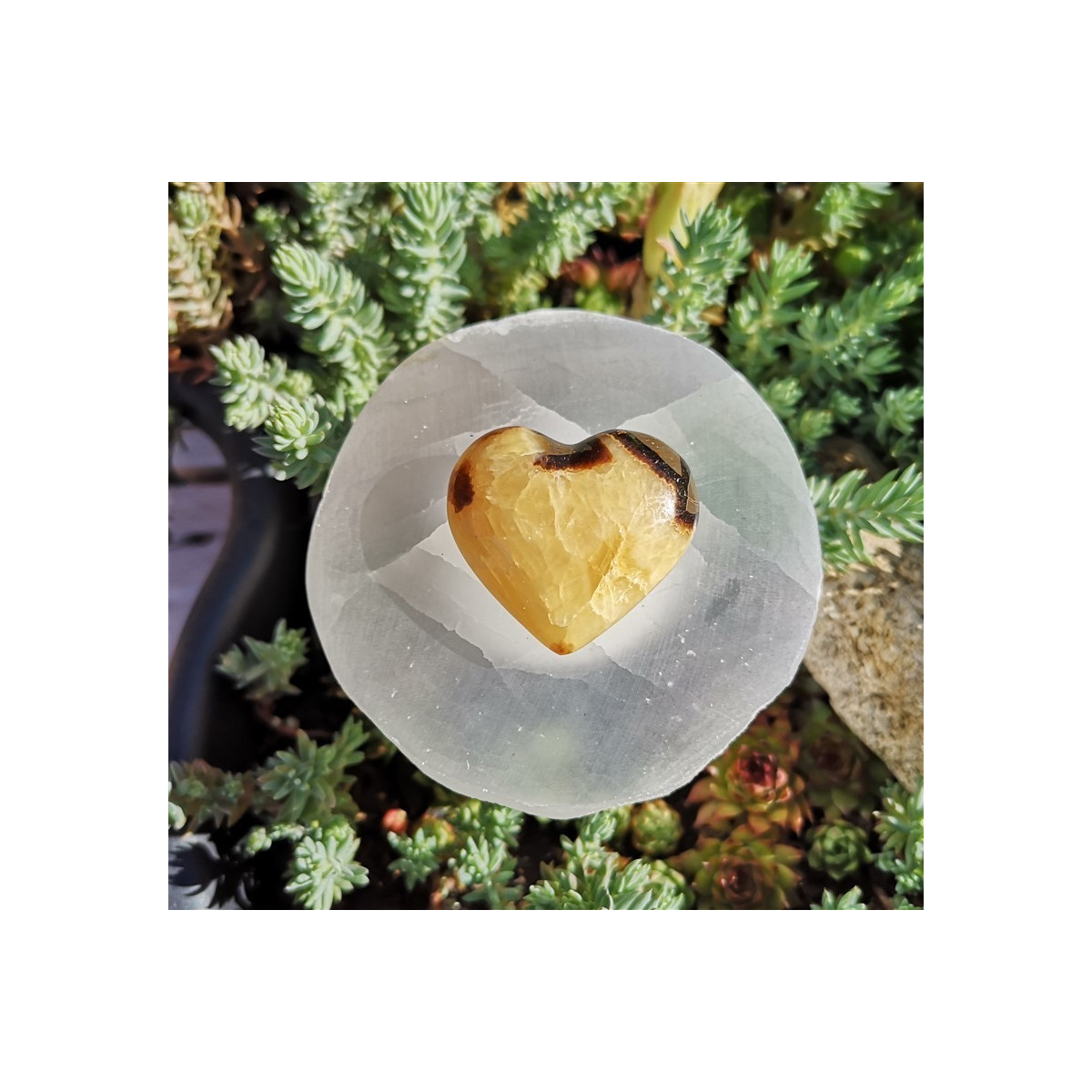 Coeur septaria 2