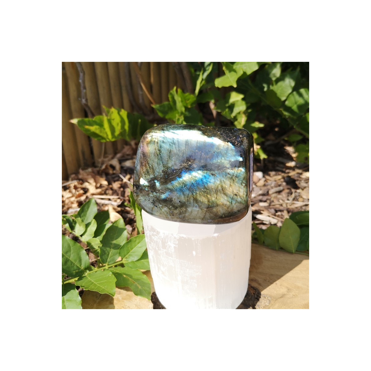 forme libre labradorite madagascar