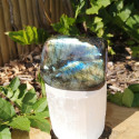 forme libre labradorite madagascar