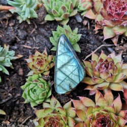 collier labradorite bleue ciel