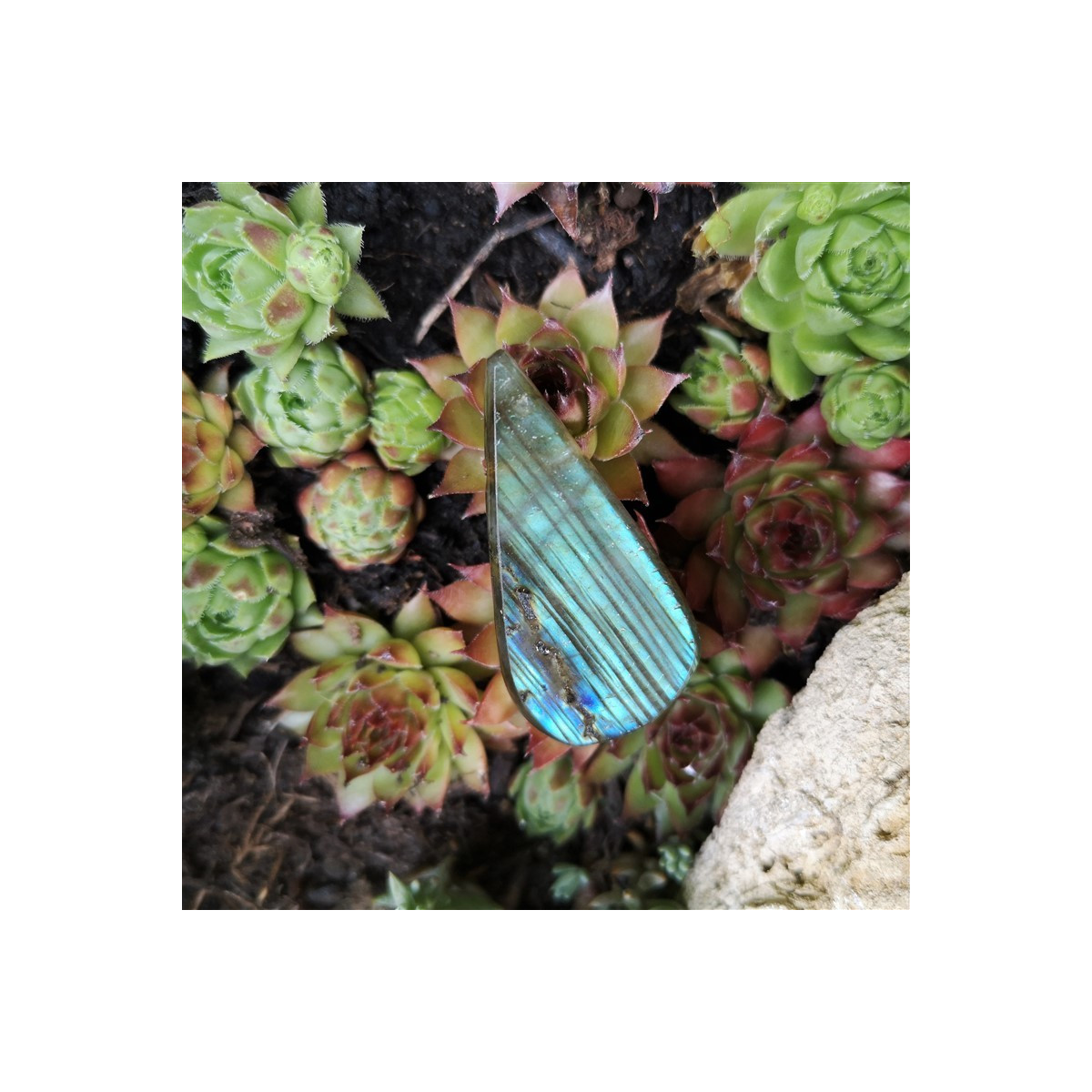 collier labradorite