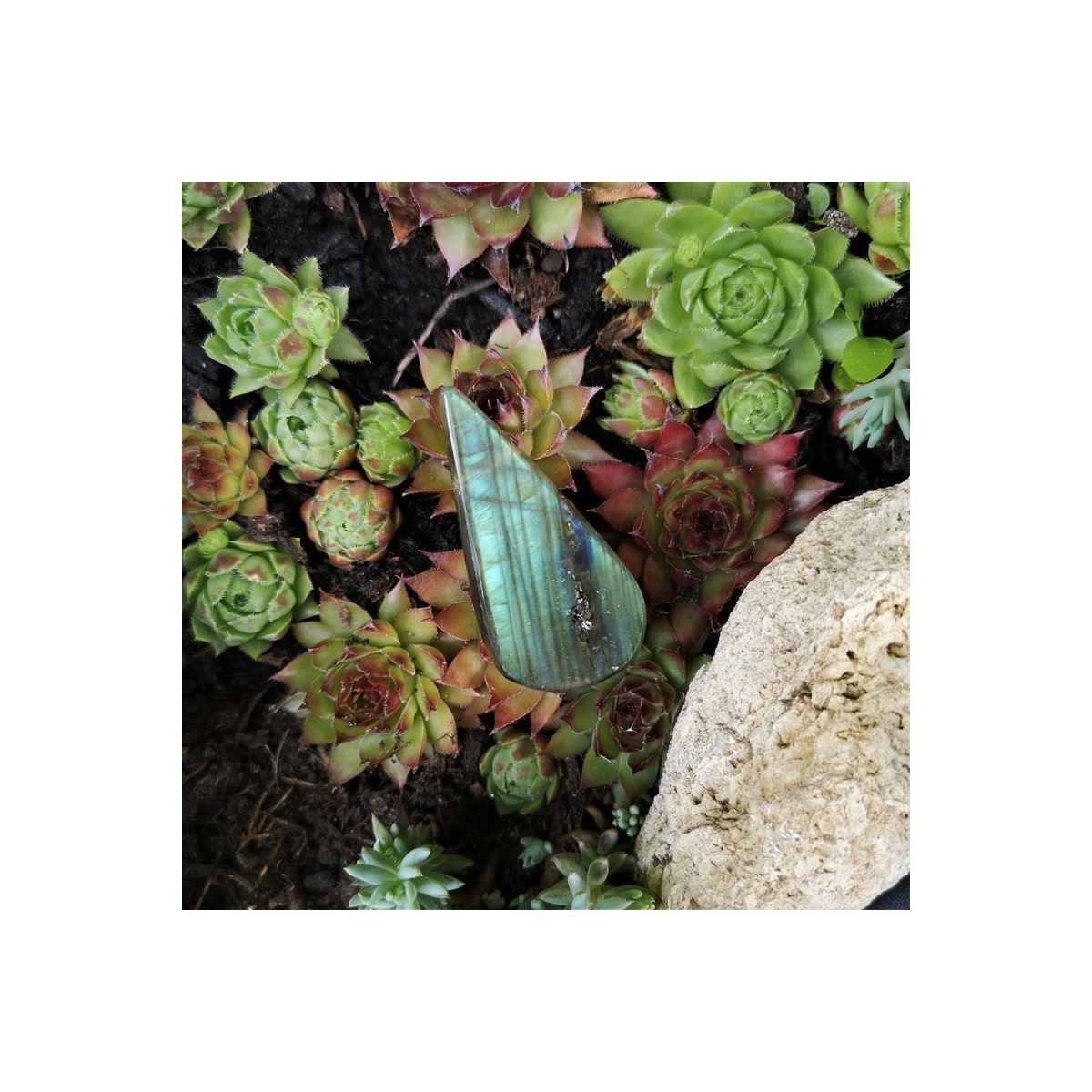 pendentif labradorite