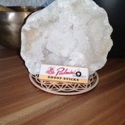 encens padmini dhoop stick