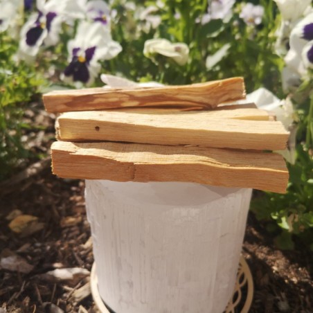 Bâtons palo santo