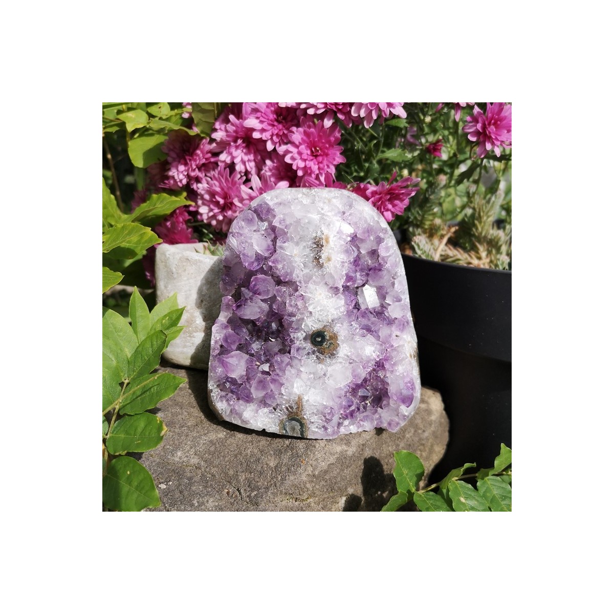 geode amethyste