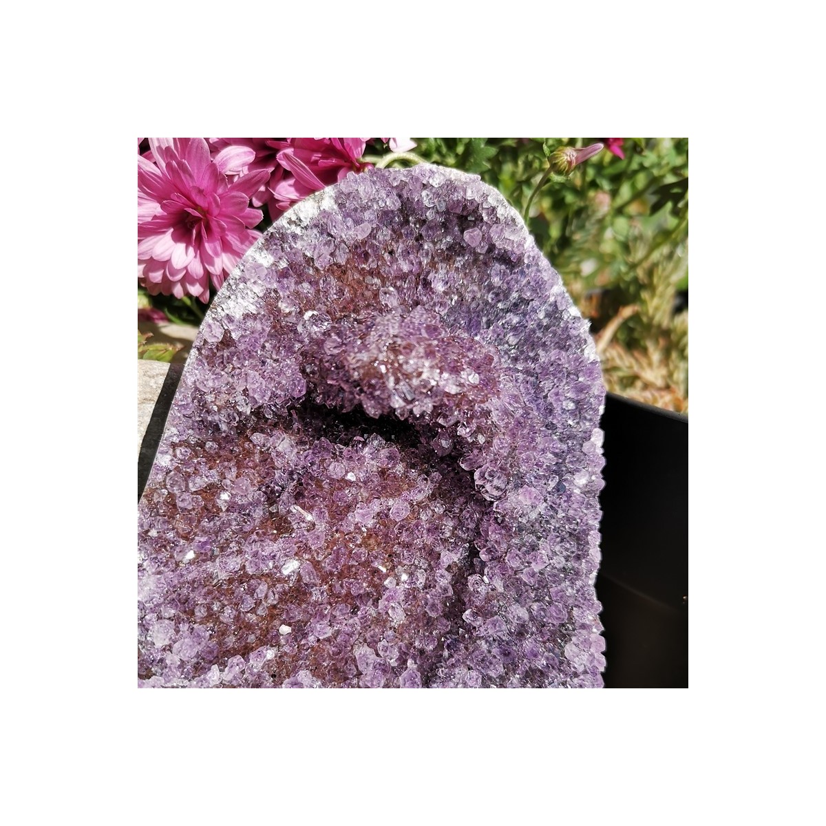 geode amethyste