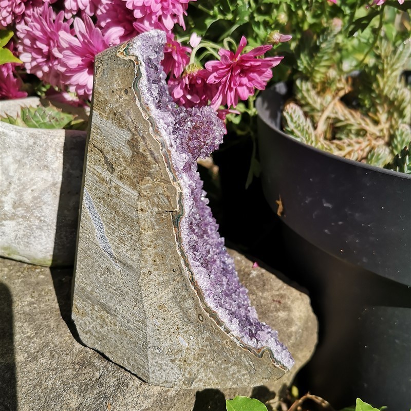 geode amethyste