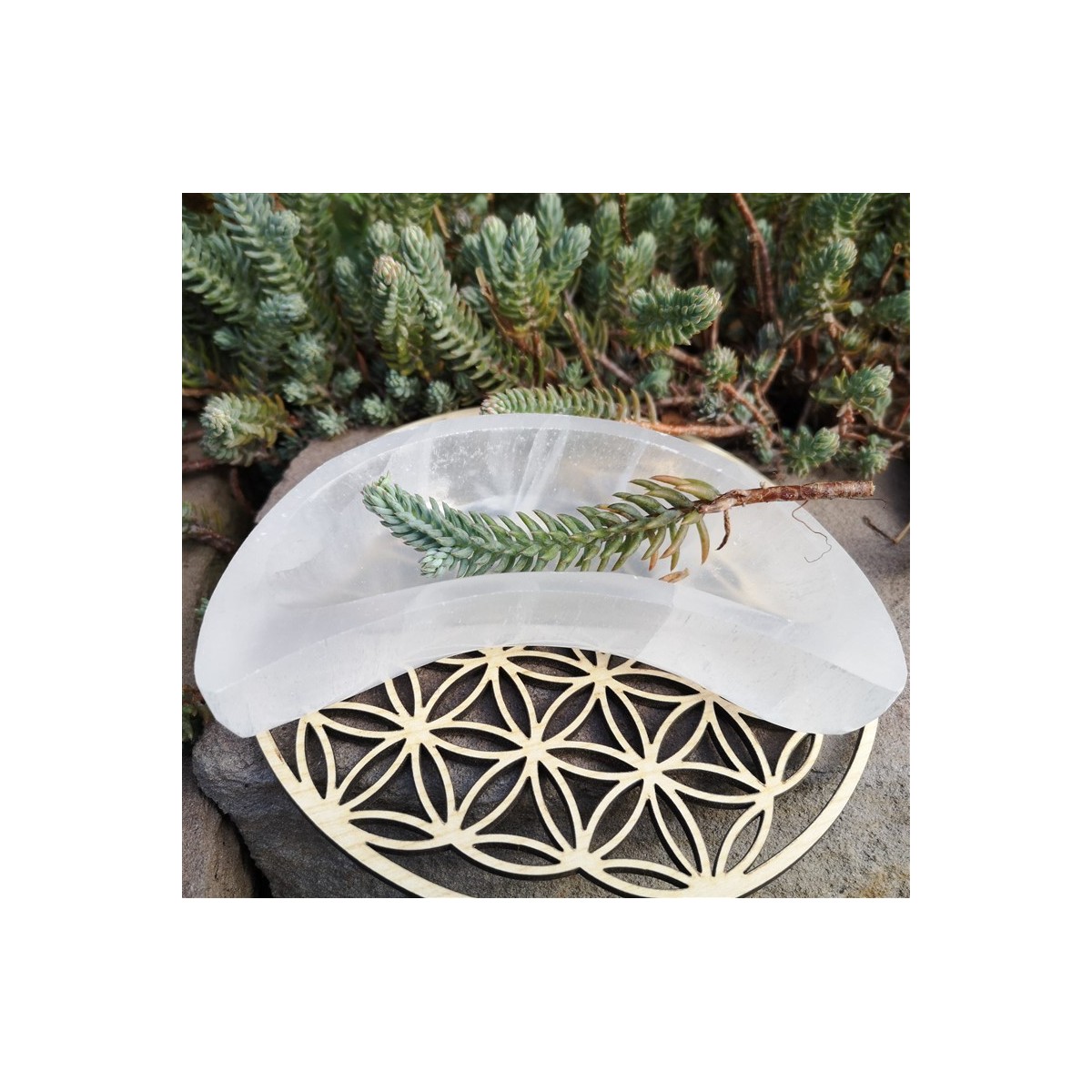 Bol demie lune en sélénite