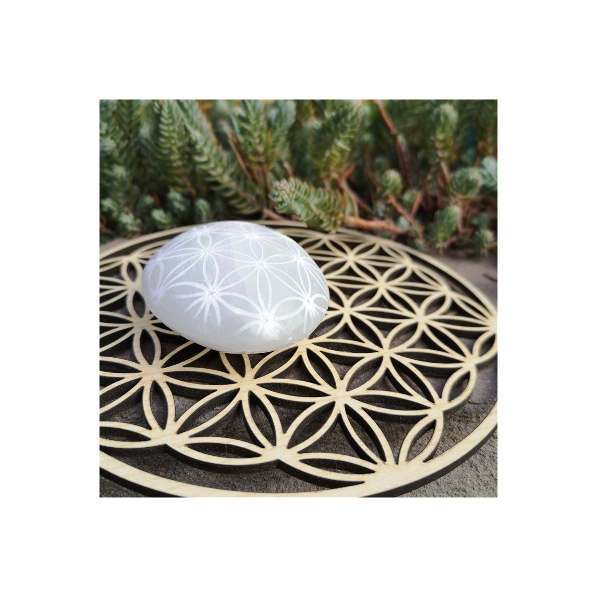 Sélénite Galet fleur de vie