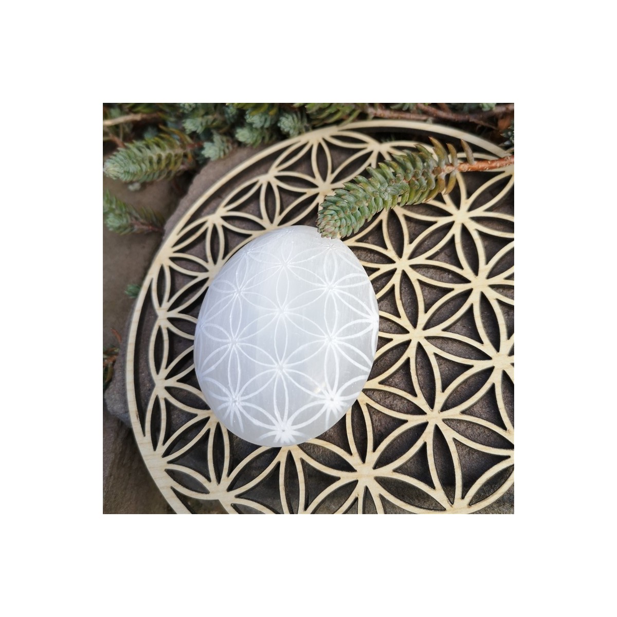 Sélénite Galet fleur de vie