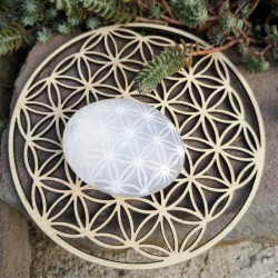 Sélénite Galet fleur de vie