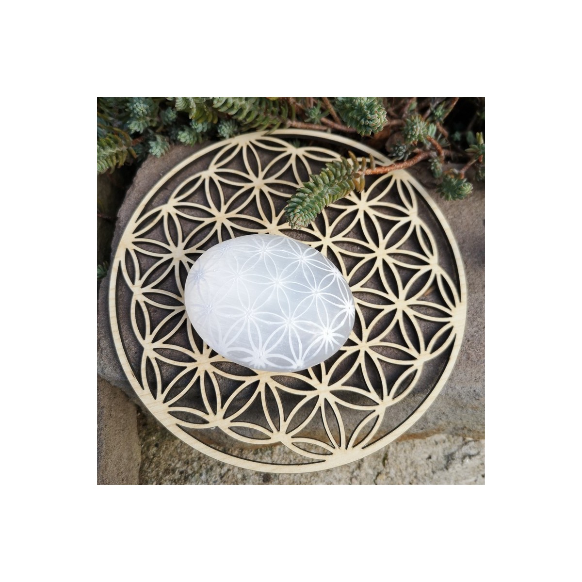 Sélénite Galet fleur de vie