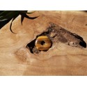 donut oeil de tigre N1