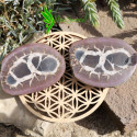 Nodule septaria sauvage