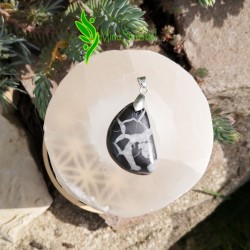 Pendentif septaria sauvage