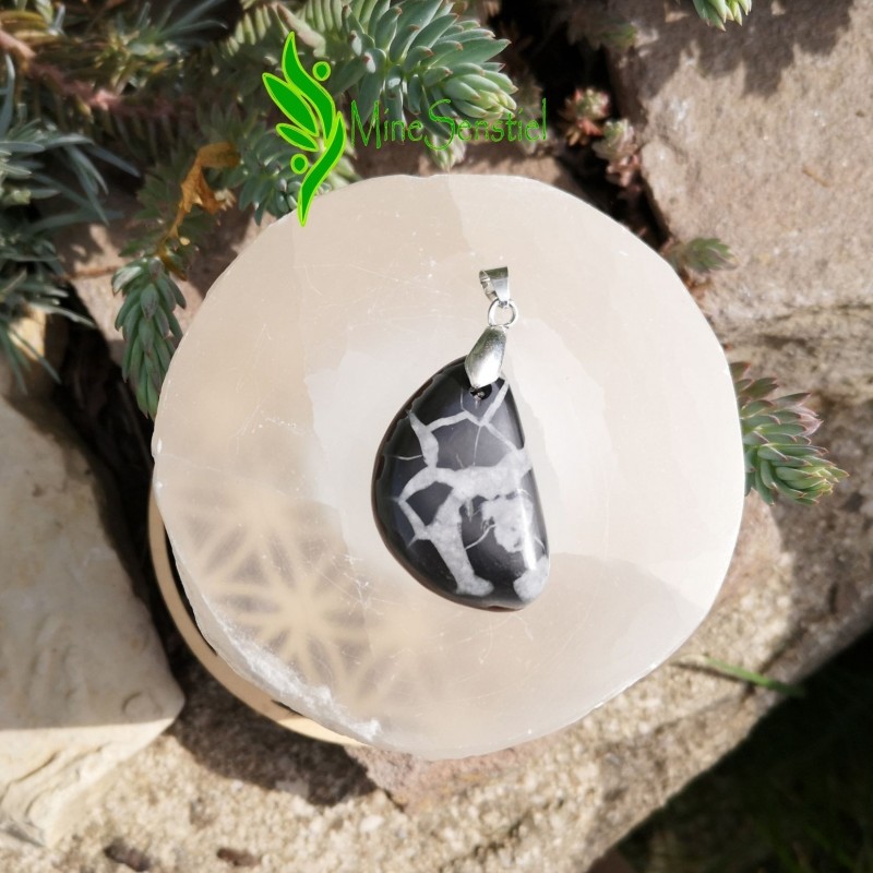 Pendentif septaria sauvage