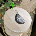 Pendentif septaria sauvage