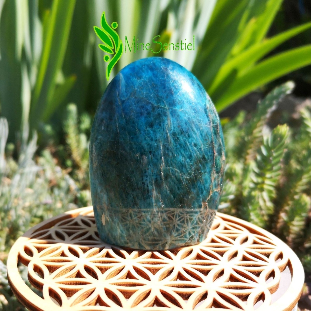 Forme libre apatite bleue