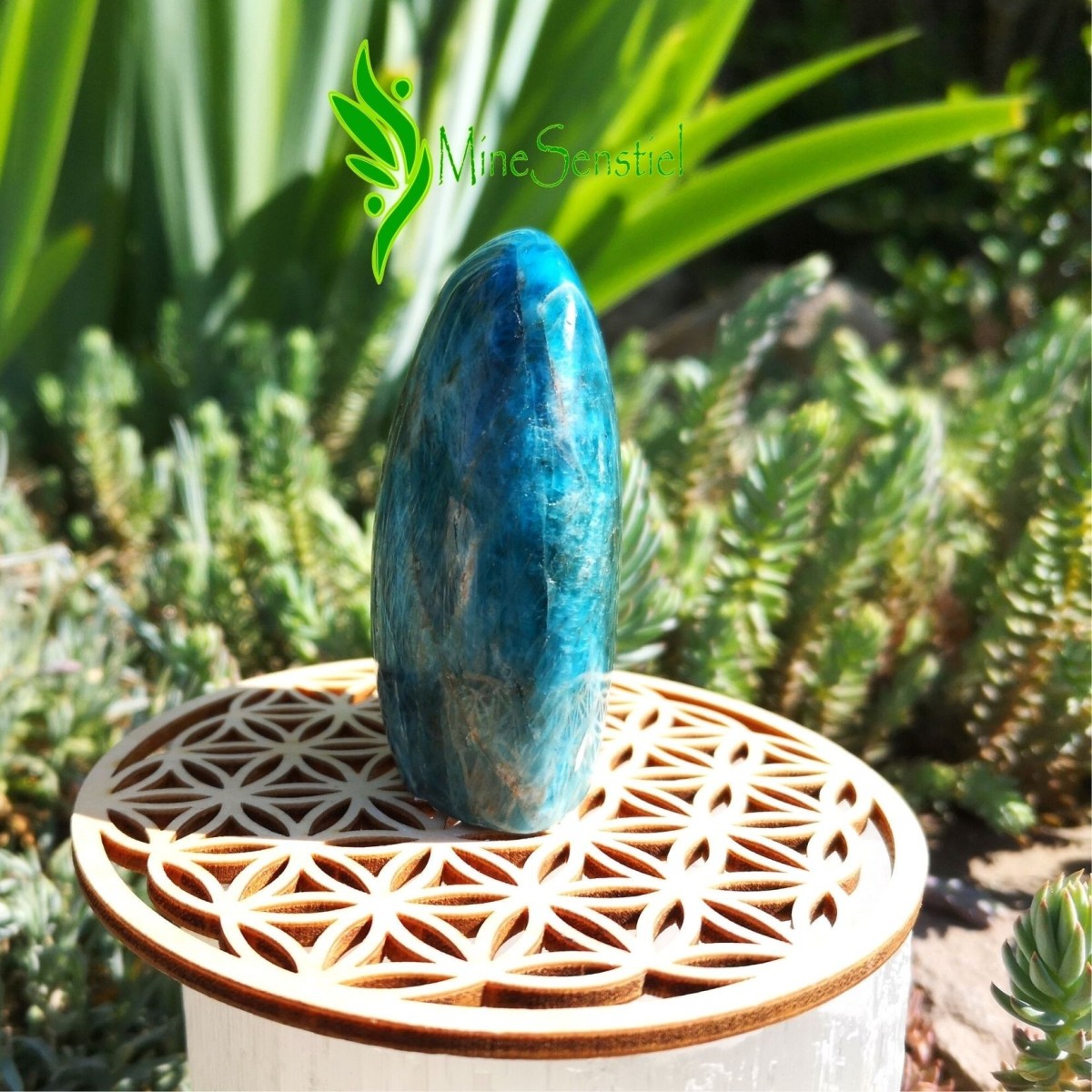 Forme libre apatite bleue