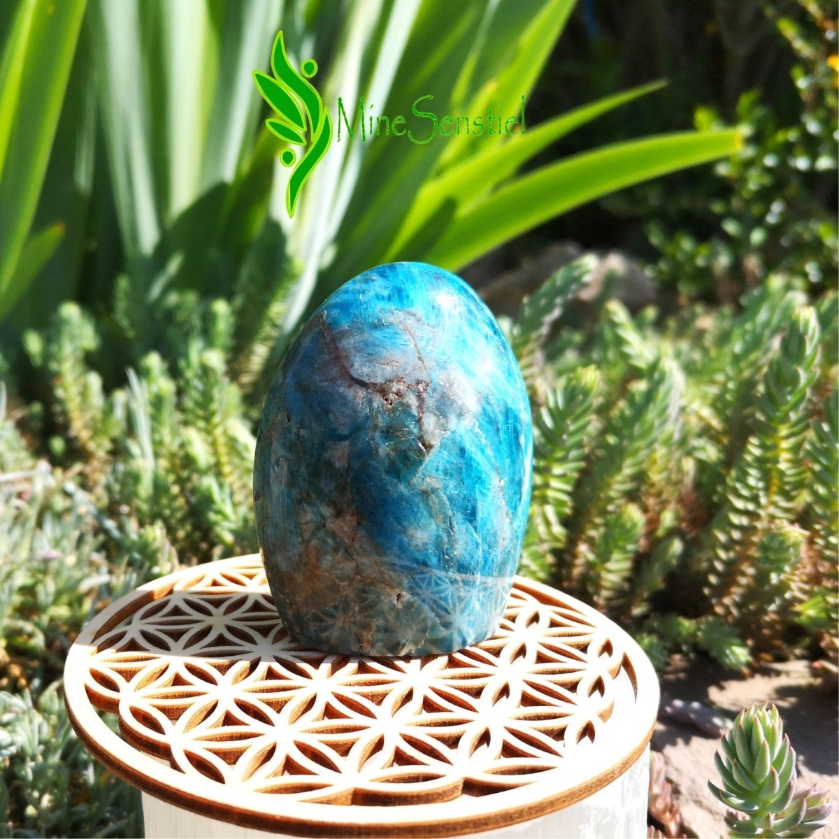 Forme libre apatite bleue