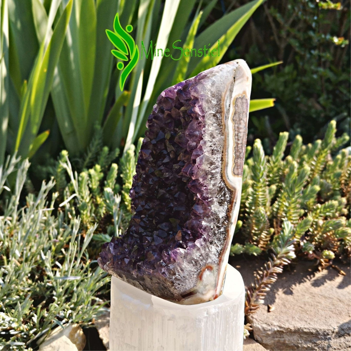 Géode améthyste