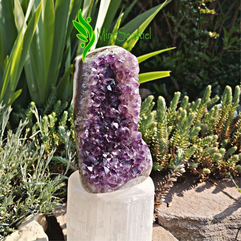 Géode améthyste