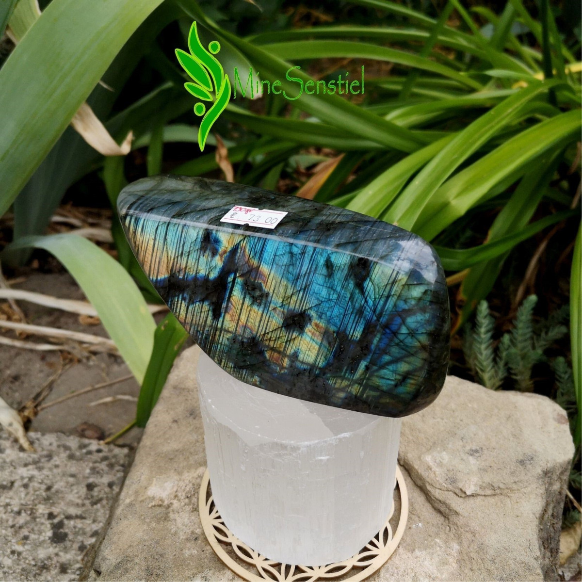 Labradorite multicolore forme à poser