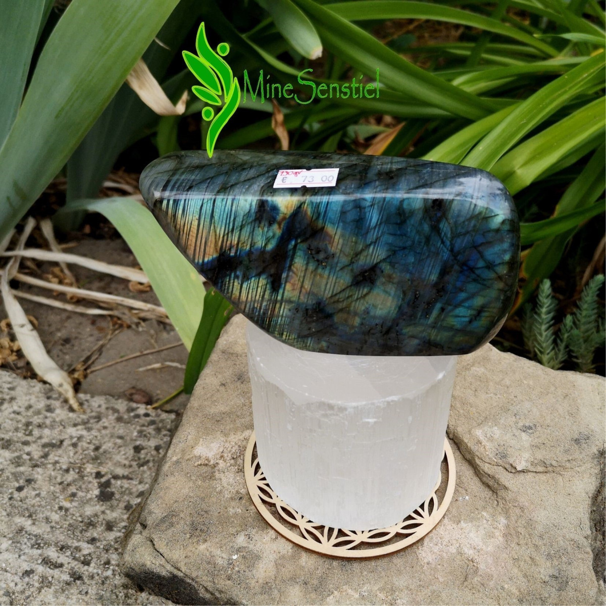 Labradorite multicolore forme à poser