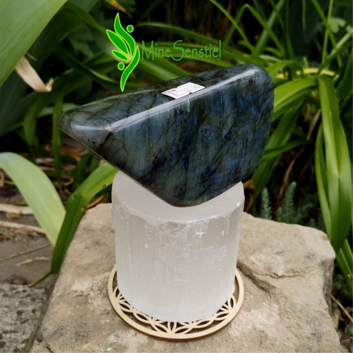 Labradorite multicolore forme à poser
