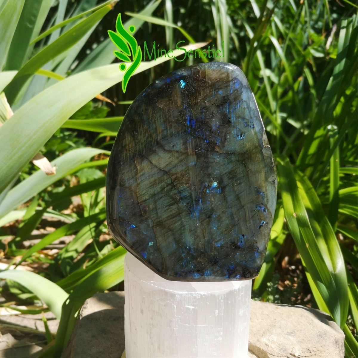 Labradorite dorée forme à poser