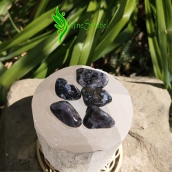 Pierre gabbro à mettre en poche