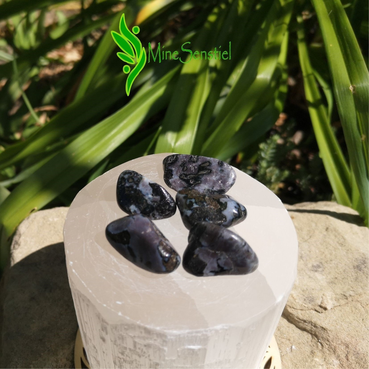 Pierre roulée gabbro