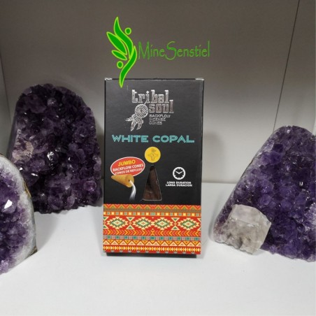 Encens à refoulement copal blanc tribal soul